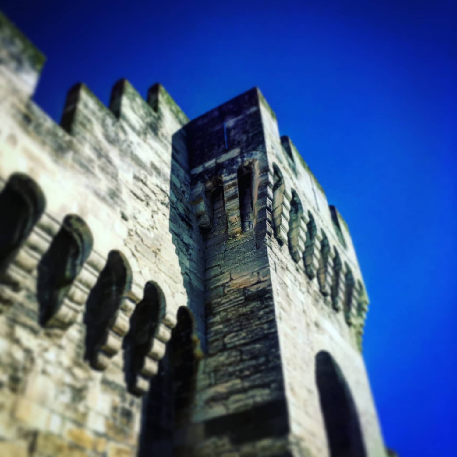 avignon 6